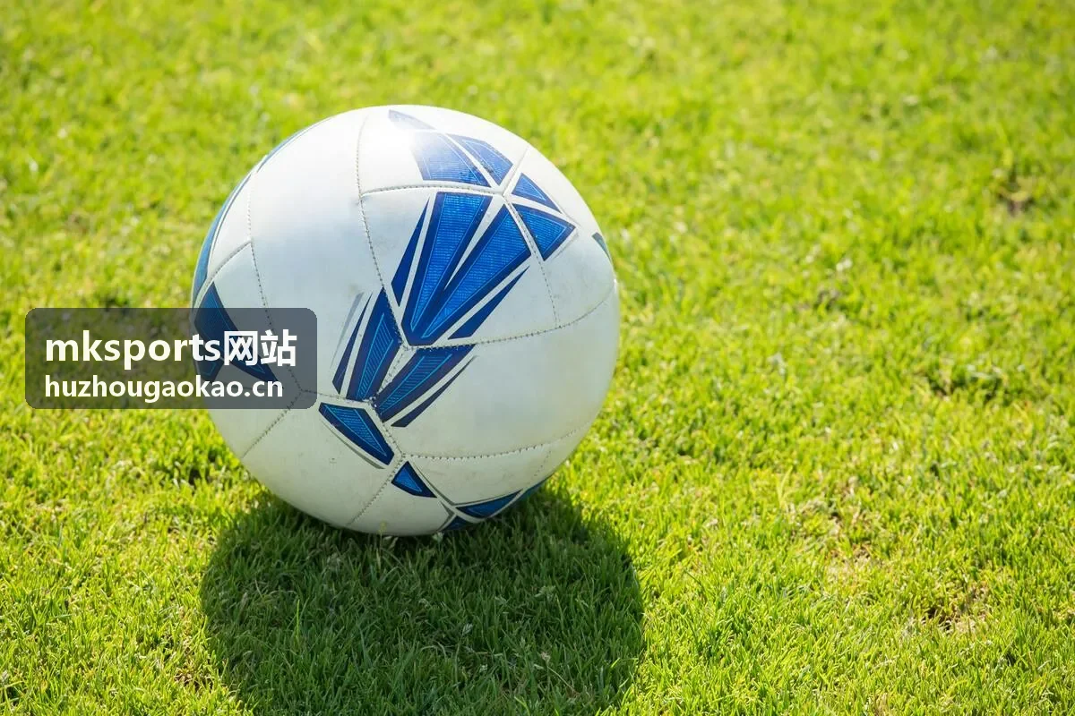 mksports网站 比赛回看与数据整理